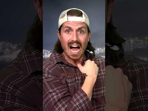 Van Life Gone Horribly Wrong....