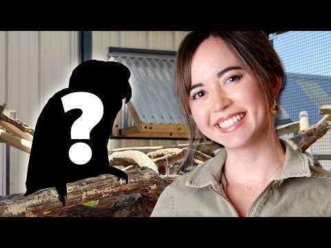 Revealing the Newest Ambassador at My Animal Sanctuary