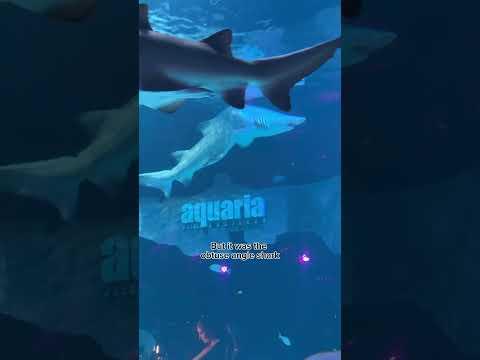 She a baddie with back pain. #aquaria #mermaidshow #suvana #phuket #thailand