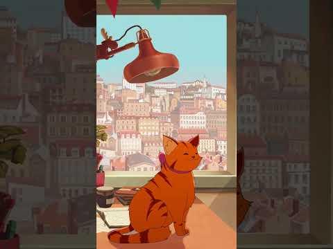 this is my cat, he has a new bow and he's going to show it to you. you'd better tell him it's nice 🎀