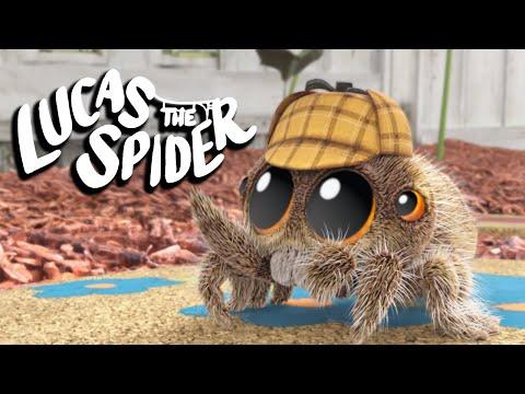 Introducing Detective Lucas! | Lucas The Spider