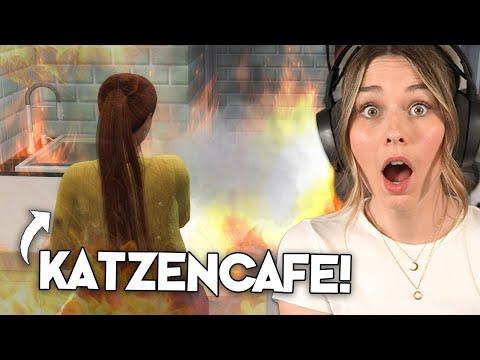 Das ENDE vom KATZENCAFE in Die Sims 4? | simfinity