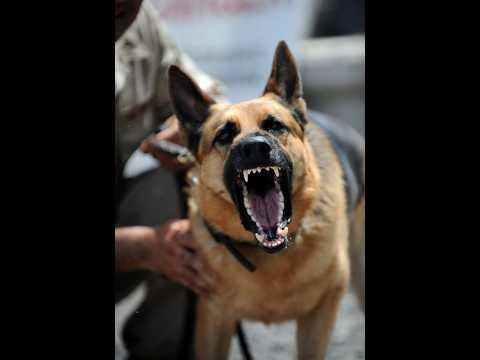 I want to try out the new Arc Raiders update if that's ok.