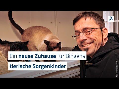 Magnet VS. Müllermilch?! 🧲🐮 #classic