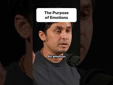 The Purpose of Emotions @hubermanlab