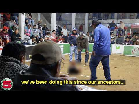 Cockfighting in Rural Mexico