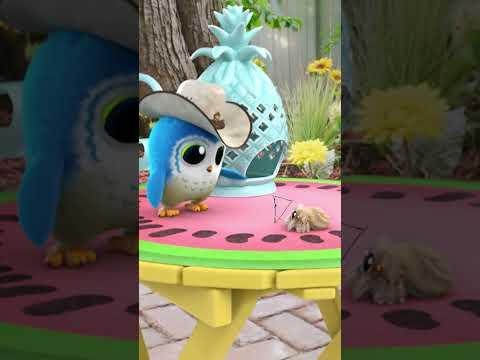 What's Hibernation #learning #spring #lucasthespider