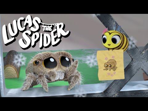 Maizie Leaves Lucas the Spider for The Winter | Cartoon for Kids