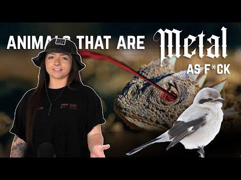 Animals that are METAL AS F*CK