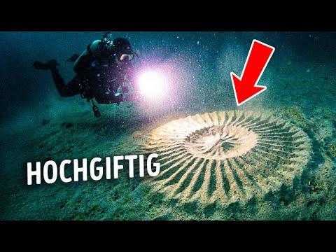 Wenn Sie jemals diesen Kreis unter Wasser sehen, gehen Sie sofort raus