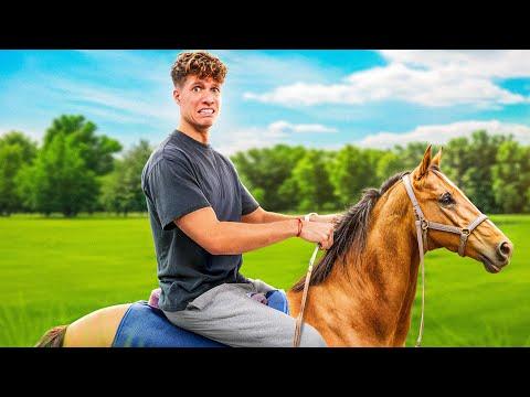 Mein 1. Mal Reiten