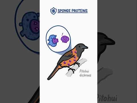 How to avoid poisoning yourself?