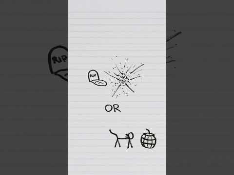 Schrödinger’s Cat (from the cat's perspective)