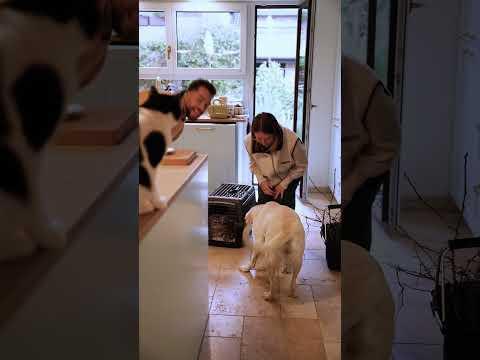 Darf ich vorstellen: Unsere Familie ist gewachsen 🫣😍🙏🏼