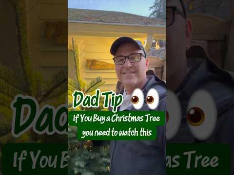 Christmas Tree Tips You NEED To Know