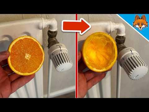 8 Tricks mit Orangen die fast NIEMAND kennt💥(Aber JEDER kennen sollte)🤯