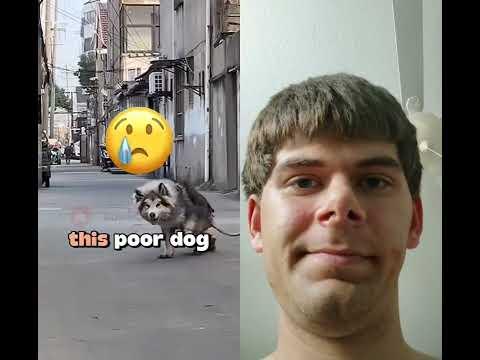 The last guy was using only 30% of his brain (Credit to @Jevshotz)