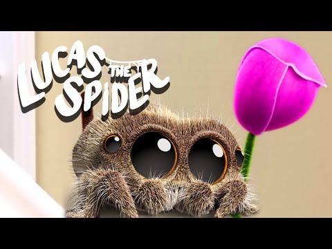 Flower Power! | Lucas The Spider