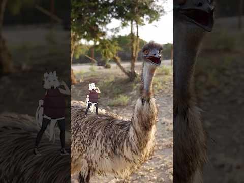Filian rides Stompy 🏇 #shorts #emu #filian #vtuber #alveus #mayahiga #twitch