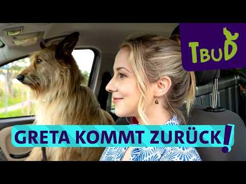 Hund ohne Namen (Folge 131) | Tiere bis unters Dach