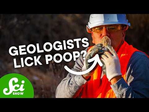 Why Geologists Lick Petrified Poop