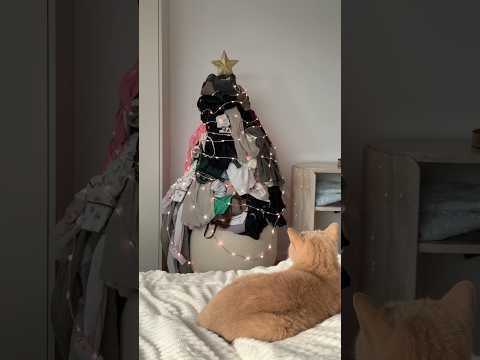 Weihnachtsbaum-Hack 🎄✨ Habt ihr schon für Weihnachten geschmückt?😂| XLAETA