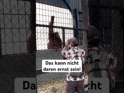 2025 eröffnet dieser Affenpark in Deutschland… unfassbar!