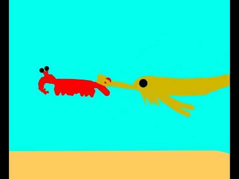 pterygotus vs anomalocaris