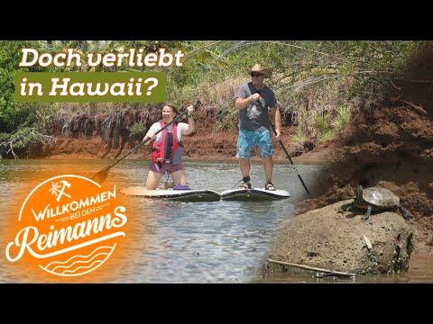 Stand-Up-Paddle Ausflug mit Schildkröten Safari! Hawaii zeigt sich von seiner besten Seite