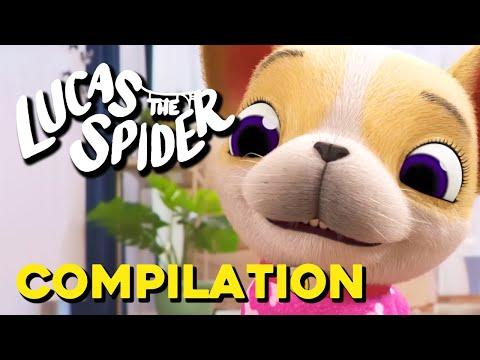 The CUTEST Avocado Compilation of All Time! | Lucas The Spider