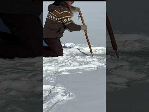 Don't FALL Through The ICE-Ice Fishing #fishing #fishingvideo #icefishing #survival #fishingvideo