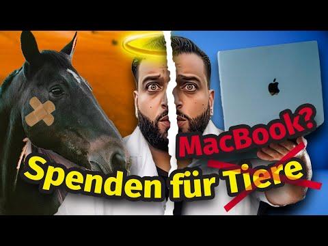 Hier landen 100k Spenden an Tierretter Ali Safari: Wir haben ein Statement! 🐴💸