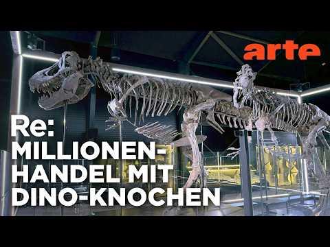 Das Geschäft mit Dino-Fossilien | ARTE Re: