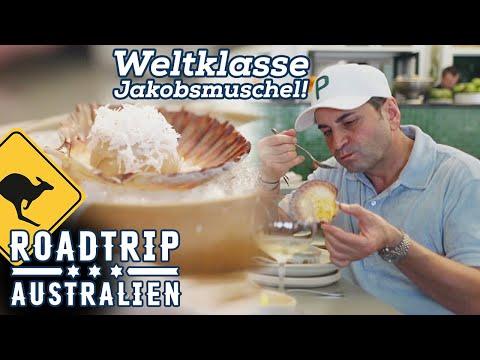 "WELTKLASSE!" Känguru und Jakobsmuschel par excellence! | Roadtrip Australien