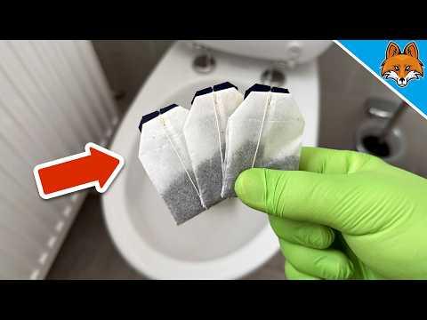 Wirf 3 Teebeutel in die Toilette und STAUNE WAS PASSIERT💥(Genialer Trick)🤯