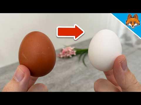 Warum gibt es braune und weiße Hühnereier💥(Überraschender Grund)🤯