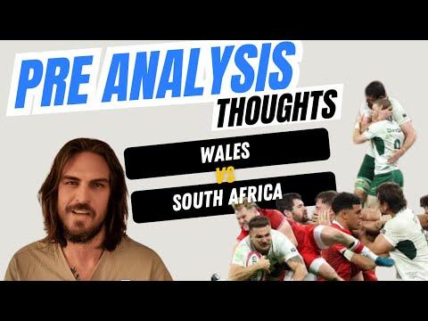 Wales vs Springboks - My Pre-Analysis thoughts - Stupid red card Etzebeth eye gouge