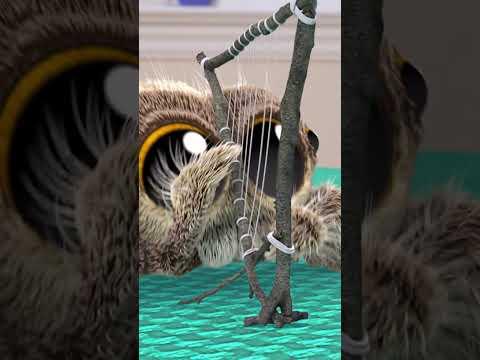 The Findley Song by Lucas the Spider #song #friends #cartoons