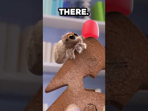 It's a Christmas Miracle, Findley! #LucastheSpider