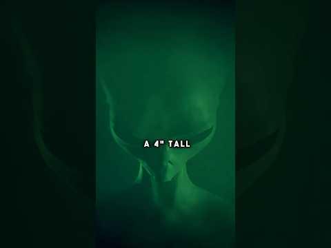 The UFO Cult With Dark Motives
