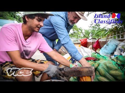 Working On One Of Puerto Rico's Last Cacao Farms  | Island Classified w/ Taji Ameen