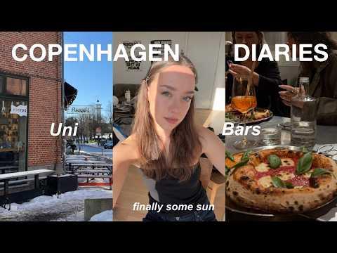 copenhagen diaries / Uni, Bars & Moving again
