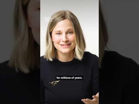 The richest thing you will ever own | Giulia Enders