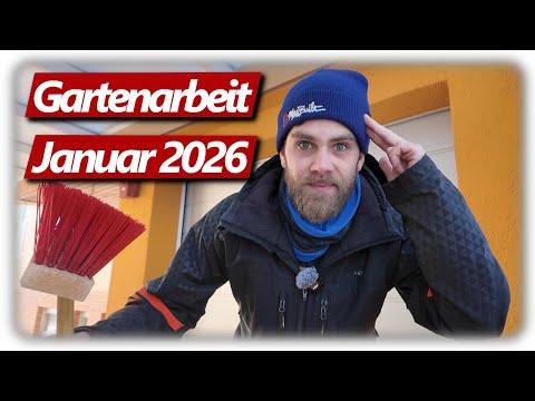 Gartenarbeit Januar | Ingwer Anzucht starten, Vogelfütterung, Stunde der Wintervögel 2026