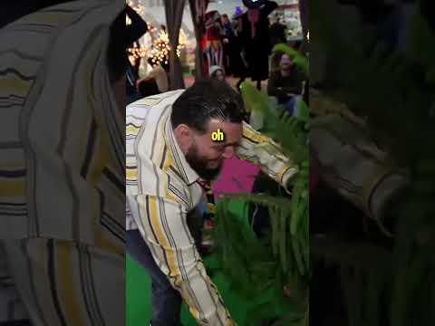 Abu WIRFT PFLANZE um 🤣