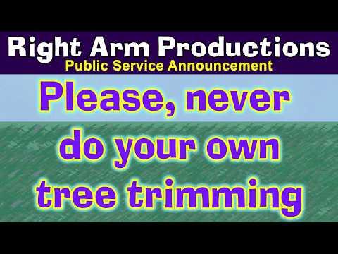 Public Service Announcements Series 2 022 Never Do Your Own Tree Trimming