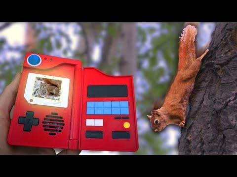 Finding all 289 Squirrel Species on planet earth pt.1 - Save the Squirrels initiative