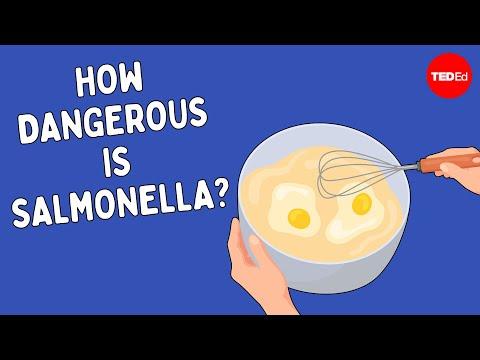 Is it really that bad to eat cookie dough? - Emma Bryce