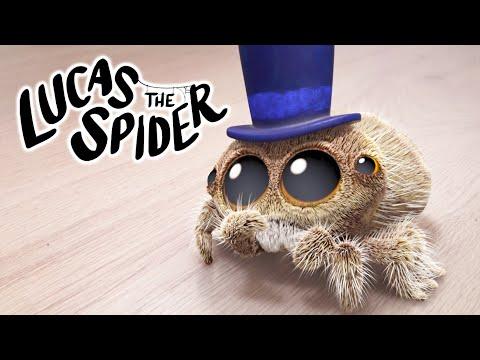 Why Did Avocado Get Put into the NAUGHTY House? | Lucas The Spider