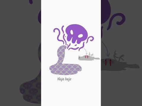 How do venomous snakes prevent poisoning themselves?